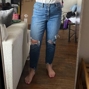 Willow&Root Distresses Mom Jeans